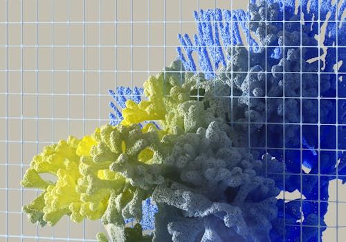 Core Components of Mesh Networking