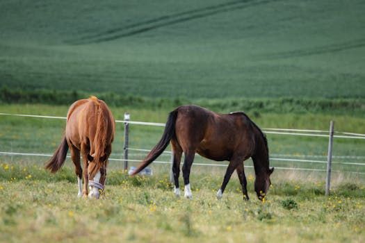 Mac OS X 10.2 Jaguar (2002)