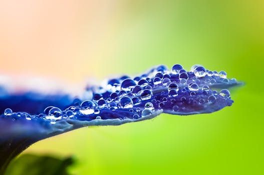 Step-by-Step Procedures to Reset Your Apple ID Password