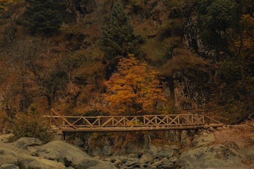 Advanced Wireless Standards