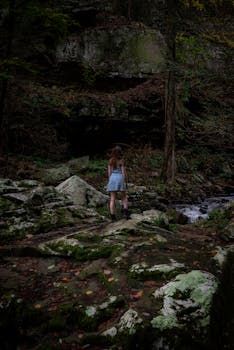 Key Features for 4K and 8K Streaming Routers