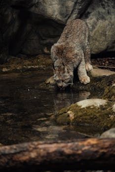 Quality of Service (QoS) and Traffic Management