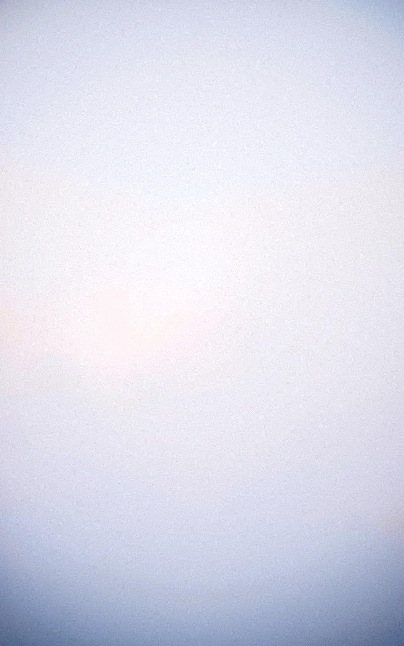 Curate a Gallery of Vintage Advertisements