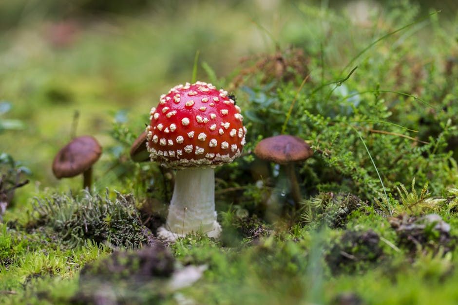Poisonous