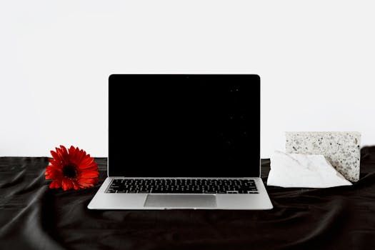 Basic Keyboard Shortcuts for Copying and Pasting