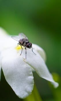 Profile Search Results