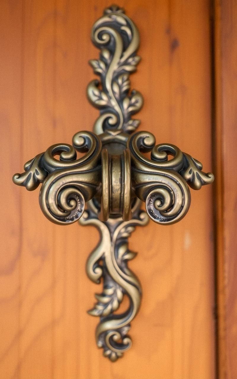 Intricate Metal Door Handles With Botanical Designs