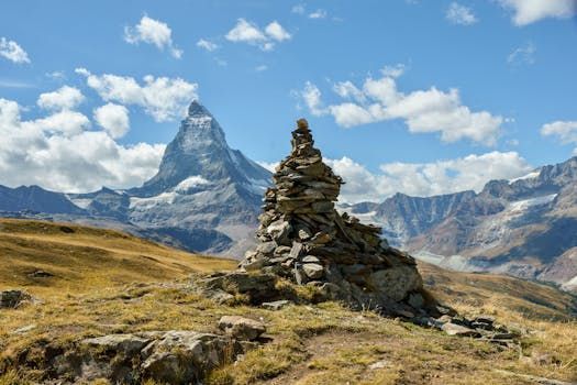 Brand Overview and Market Position