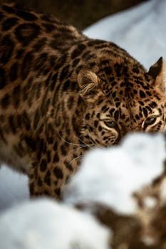 Comparison with Other Photo Sizes