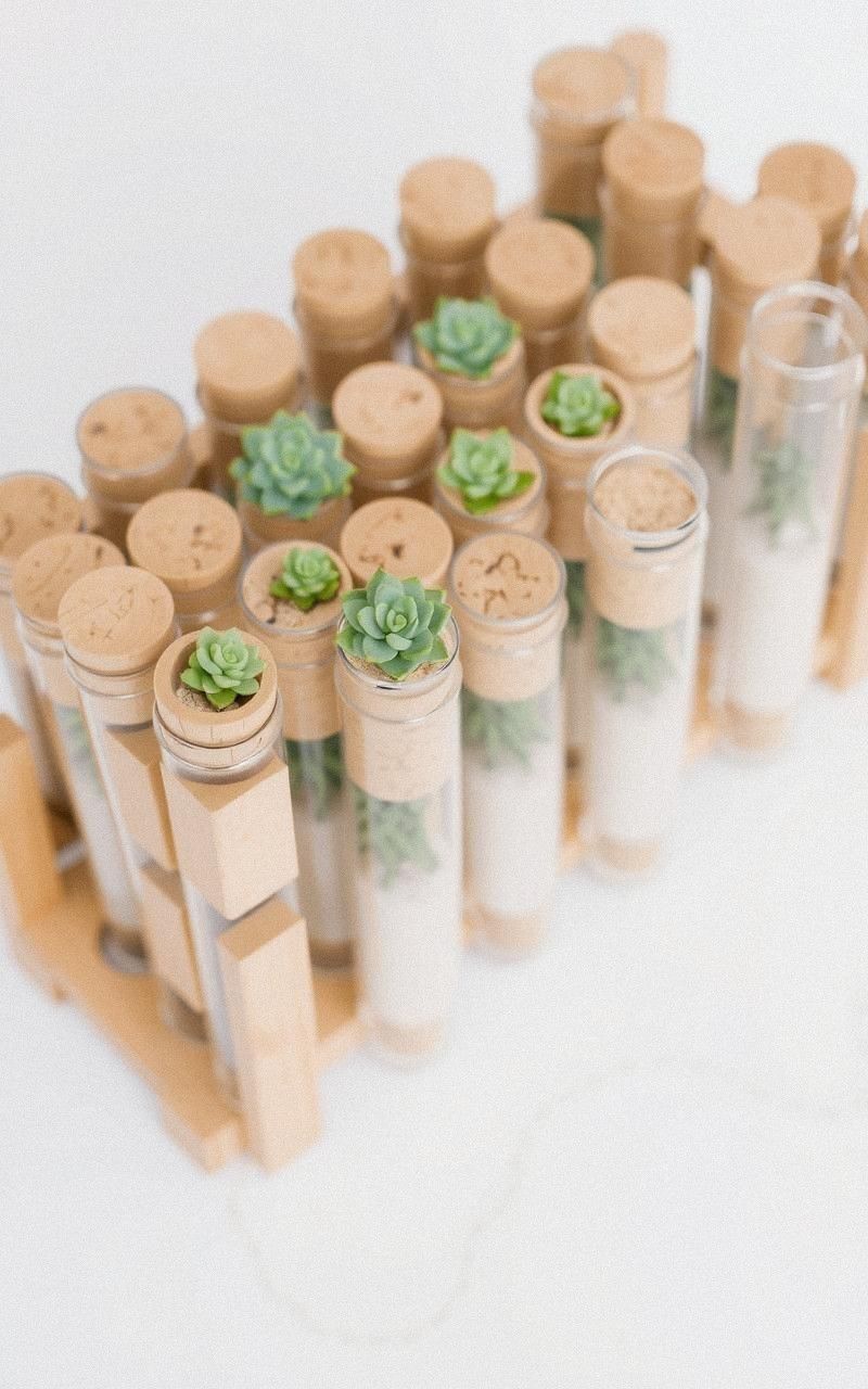 Corked Test Tube Terrariums With Mini Succulents
