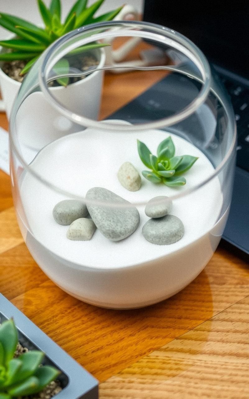 Zen Garden Terrarium With Sand And Stones