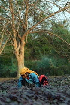 Happy Homemaker Tips image