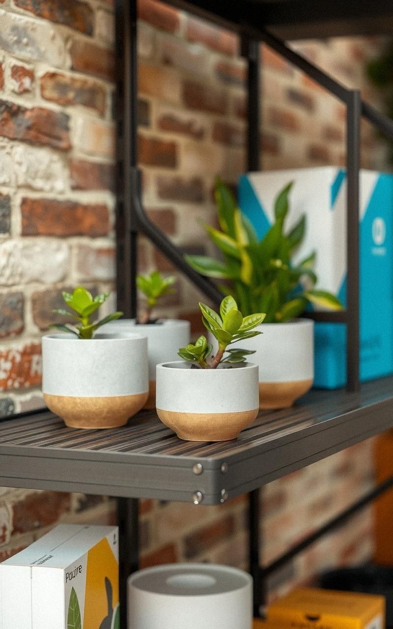 Concrete Planters Doubling As Storage Containers