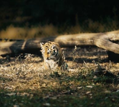 Physical Size and Aspect Ratio