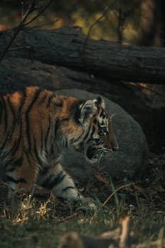 Resolution and Print Quality for 4×6 Photos