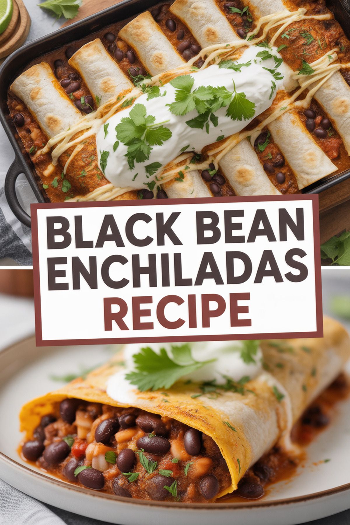 Black Bean Enchiladas Recipe recipe idea in stylish layout