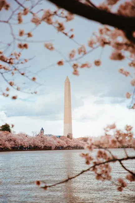Tidal Basin: Washington's iconic cherry loop