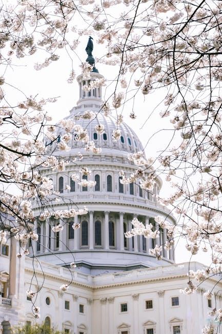 U.S. Capitol grounds: blossoms near the domed heart