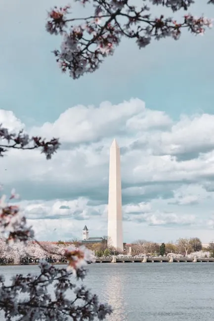 Washington National Cathedral grounds: gardened cherry moments