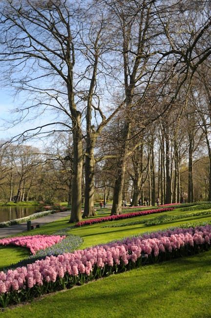 Lisse town displays: village scenes and pocket gardens